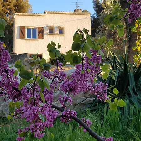 La Champanel Maison Vue Mer Villa Marseille Exterior photo