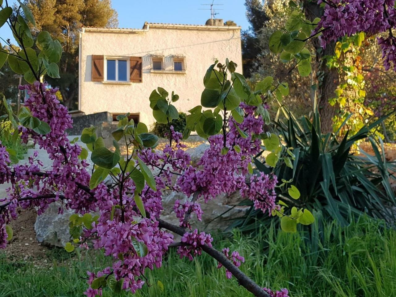 La Champanel Maison Vue Mer Villa Marseille Exterior photo